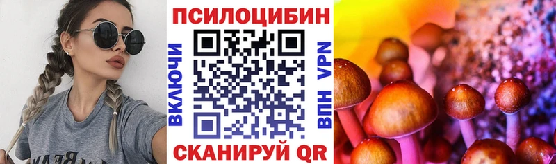 Псилоцибиновые грибы GOLDEN TEACHER  Ярославль 